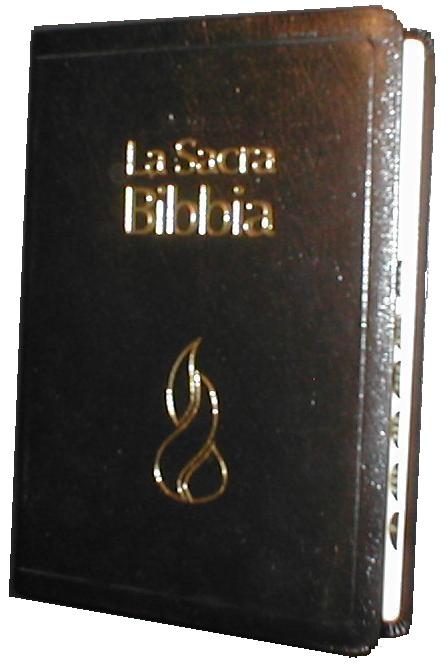 BIBBIA NUOVA RIVEDUTA G32369 15 x 21 cm, pelle, nera, rubr