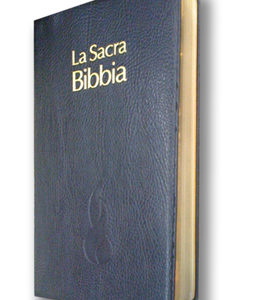 BIBBIA NUOVA DIODATI C03EO 10,5x16cm cartonato, bordeaux
